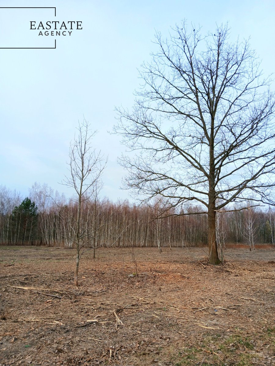 Działka 1900 m² w Korytach – przestrzeń i natura Koryta  1 908m2 Foto 1
