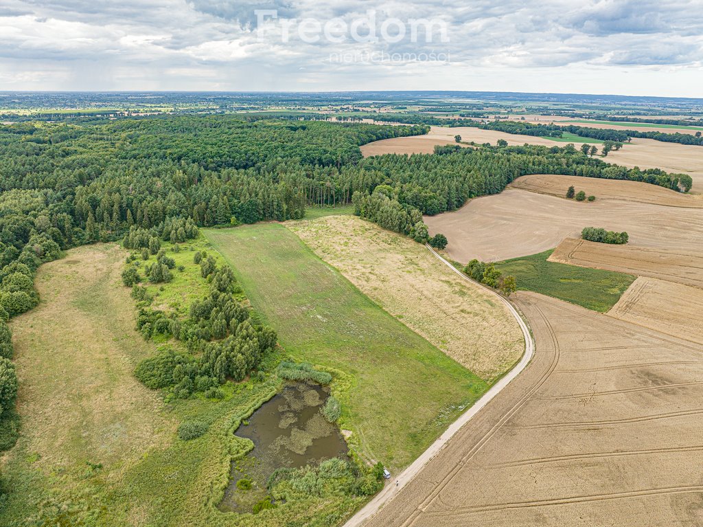 Działka rolna na sprzedaż Kwietniewo  22 800m2 Foto 8