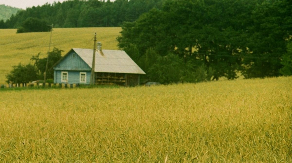 Działka gospodarstwo rolne na sprzedaż Ozierany Wielkie  3 600m2 Foto 2