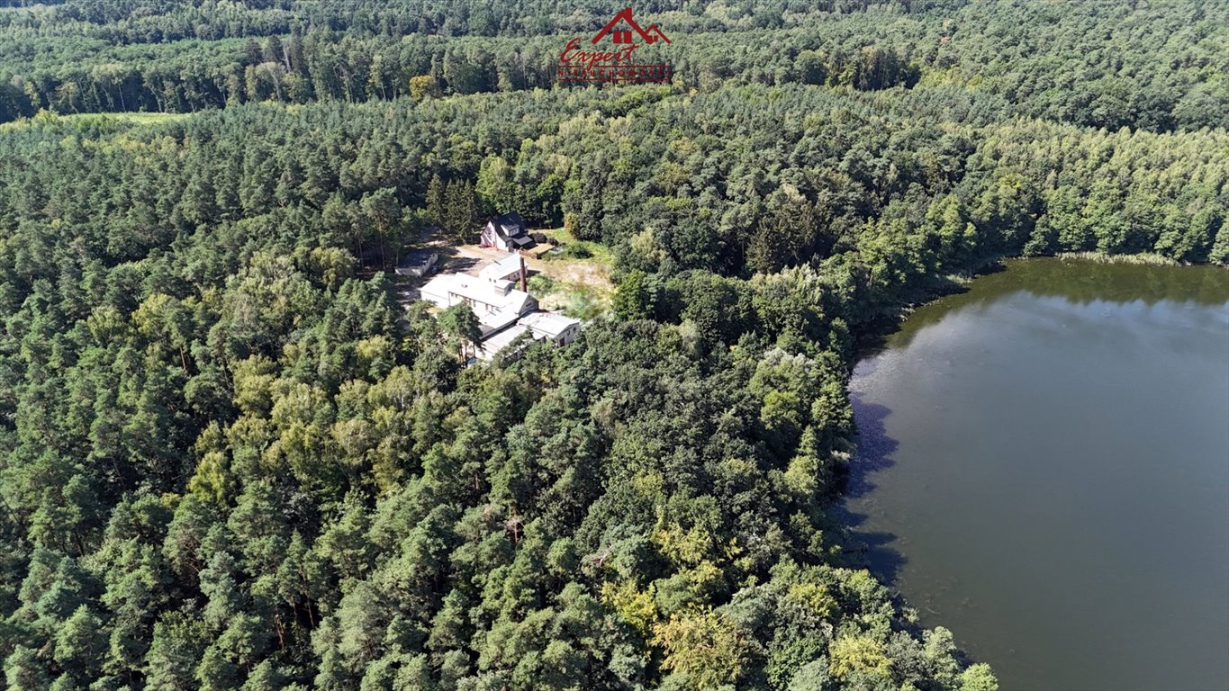 Magazyn na sprzedaż Ogrodzieniec  1 292m2 Foto 3