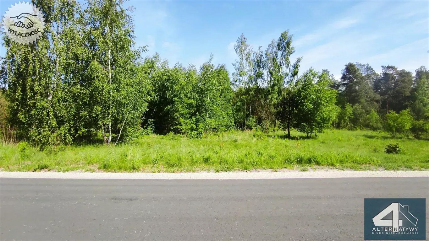 Działka budowlana na sprzedaż Dalików, Łęczyska 3  2 000m2 Foto 6