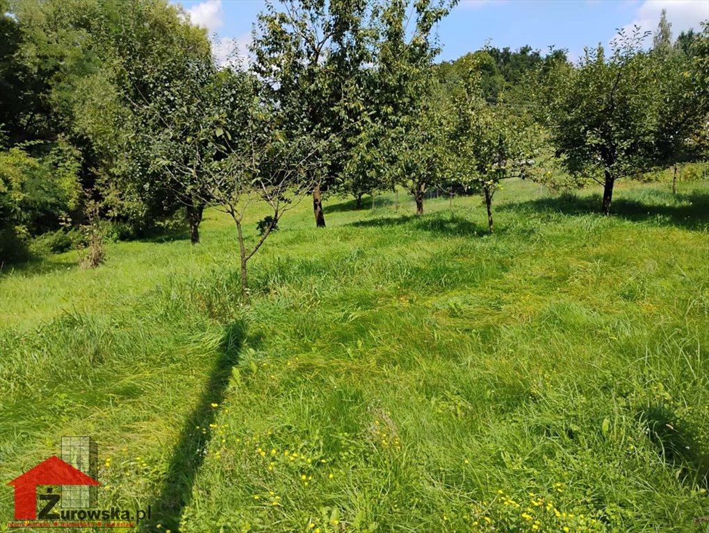 Działka inna na sprzedaż Leśnica  1 504m2 Foto 7