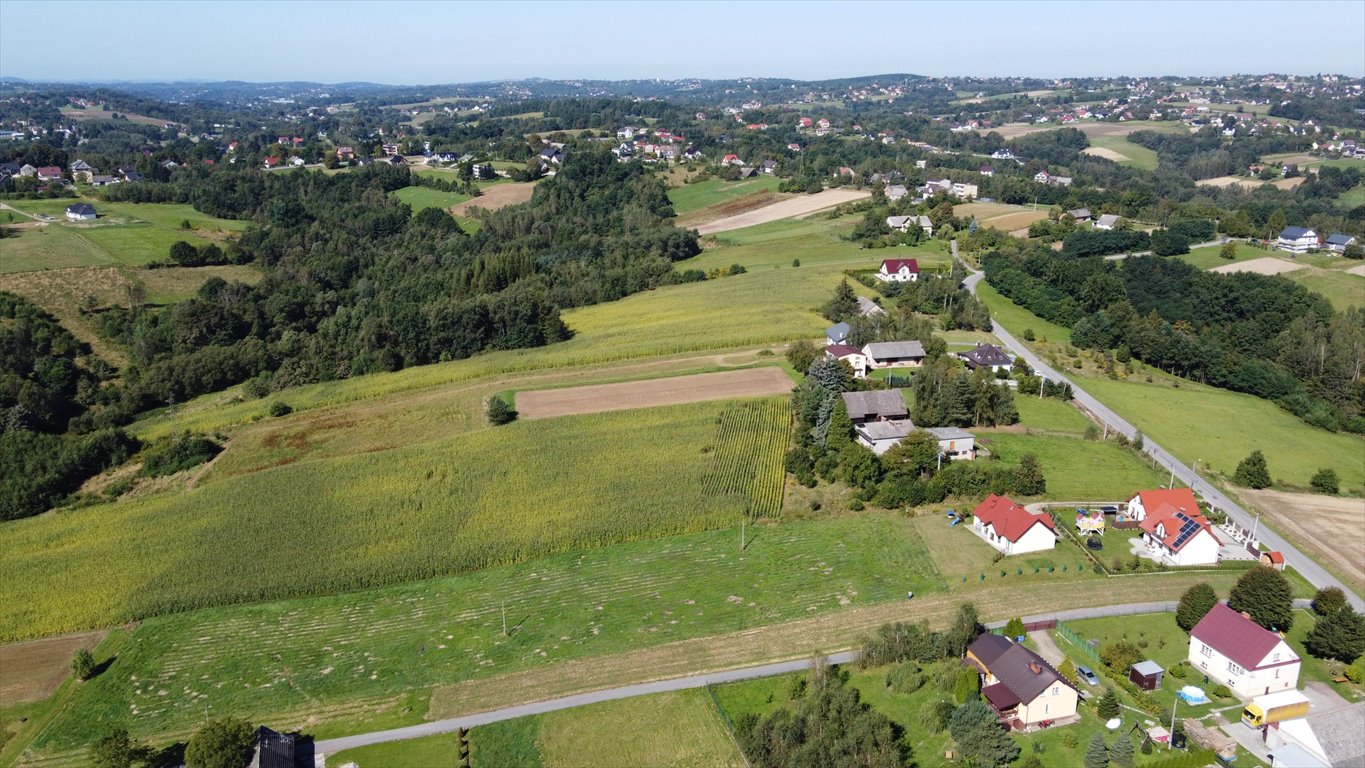 Działka budowlana na sprzedaż Bieńkowice  6 000m2 Foto 3