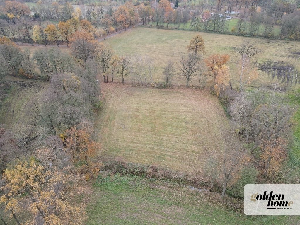 Działka budowlana na sprzedaż Kąkolewo, Albertowsko  5 000m2 Foto 3