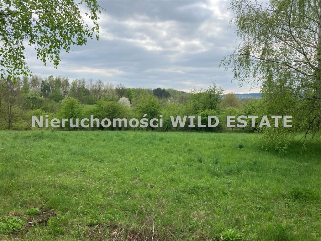 Działka rolna 8,4 ha z mediami, blisko drogi krajowej Sanok, Załuż  8 407m2 Foto 1