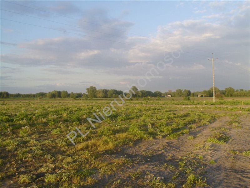 Działka rolna na sprzedaż Holendry Baranowskie  4 669m2 Foto 1