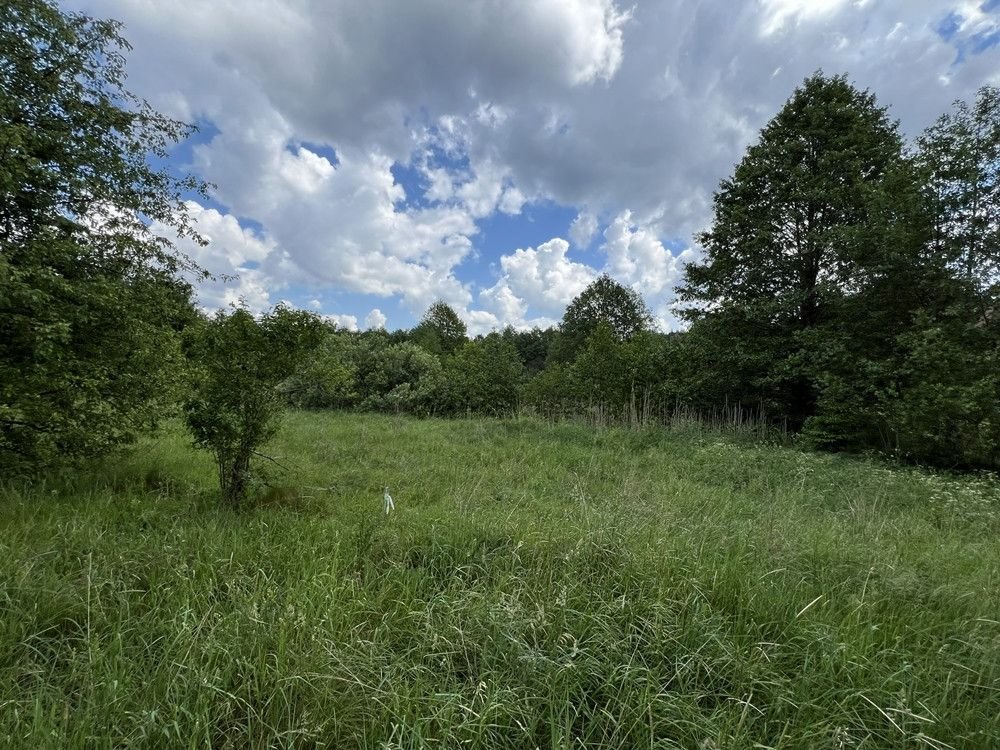 Działka budowlana na sprzedaż Świerkocin  10 451m2 Foto 9