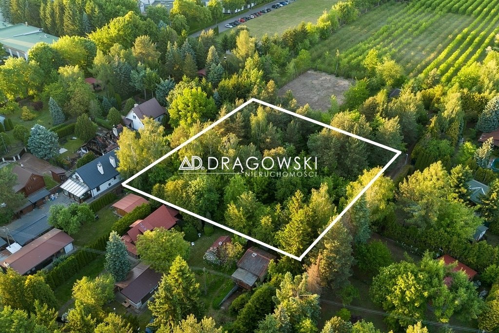 Zdjęcie 5