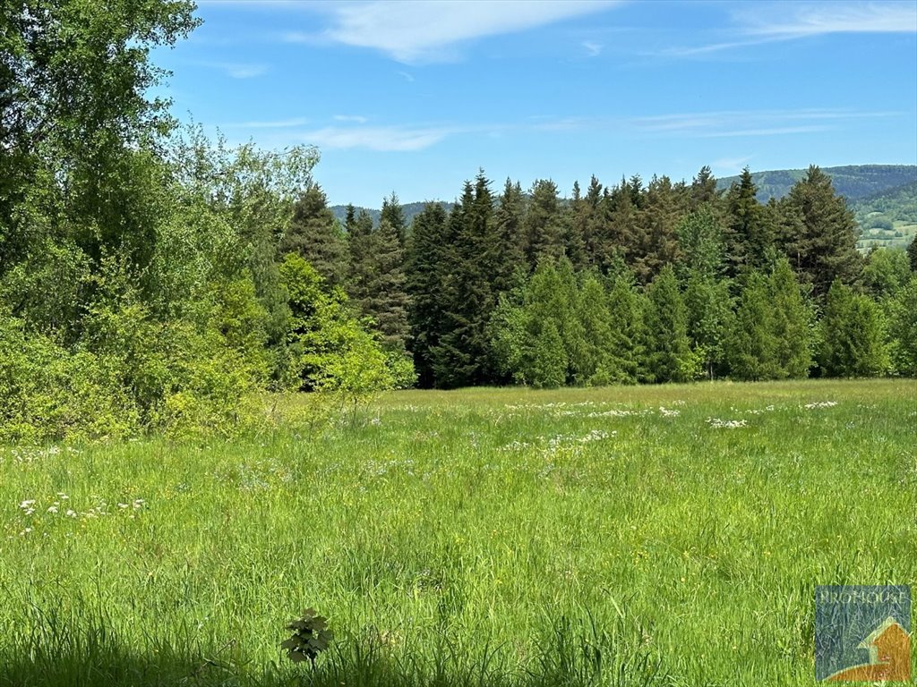 Działka leśna na sprzedaż Podłopień  5 200m2 Foto 8