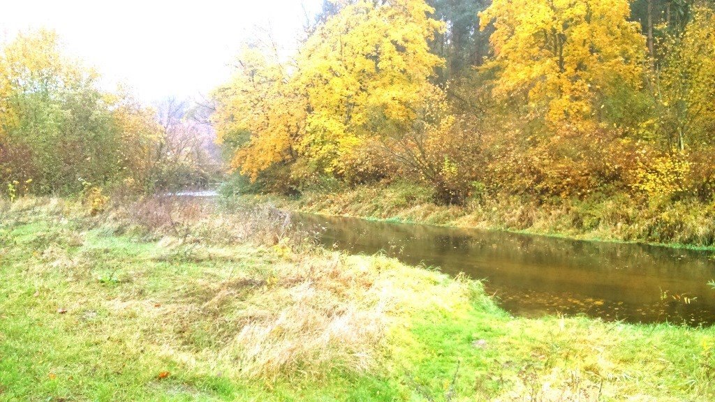 Działka z linią brzegową rzeki Skrwa, 2,5 ha, rekreacja Brudzeń Duży  25 000m2 Foto 1