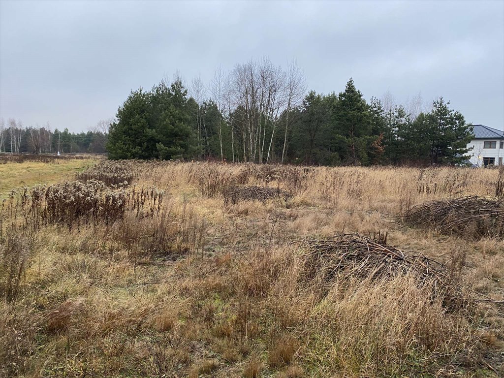 Działka budowlana na sprzedaż Konstancin-Jeziorna, Konstancin-Jeziorna  7 756m2 Foto 1