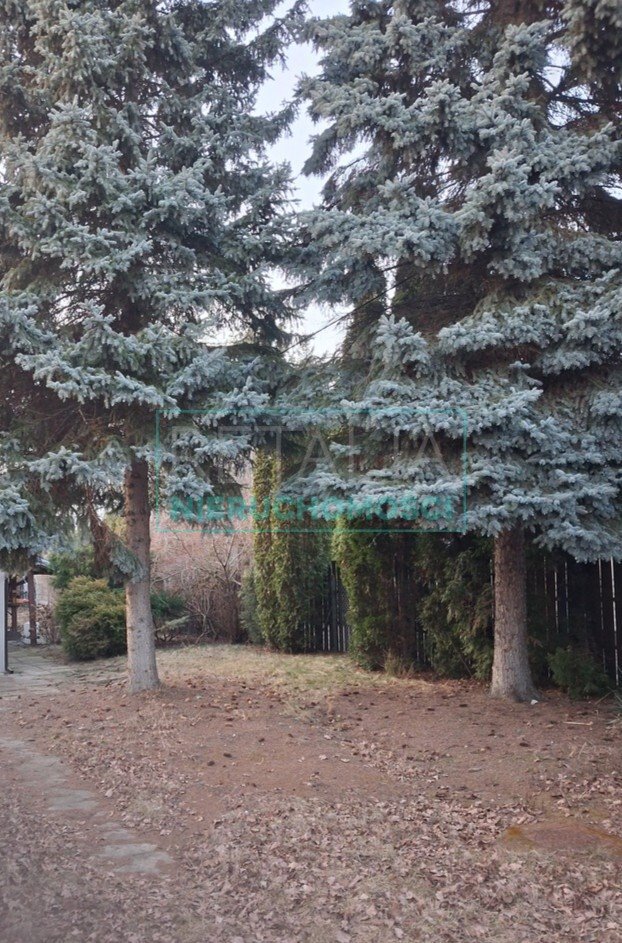 Działka budowlana w centrum Grodziska z mediami i zadrzewieniem Grodzisk Mazowiecki  399m2 Foto 1