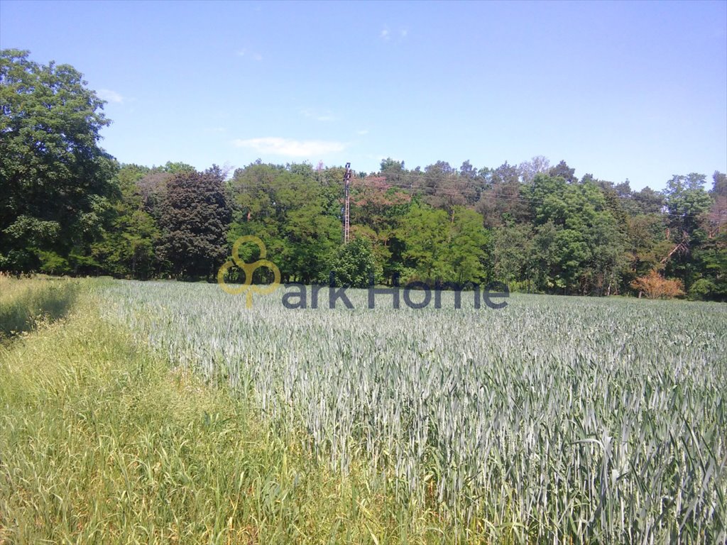 Działka budowlana na sprzedaż Słopanowo, Słopanowo-Huby  4 010m2 Foto 3