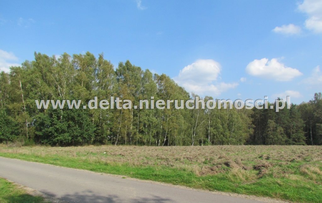 Działka budowlana na sprzedaż Warblewo 5 500m2 Foto 1 Działka budowlana na sprzedaż Warblewo 5 500m2 Foto 1