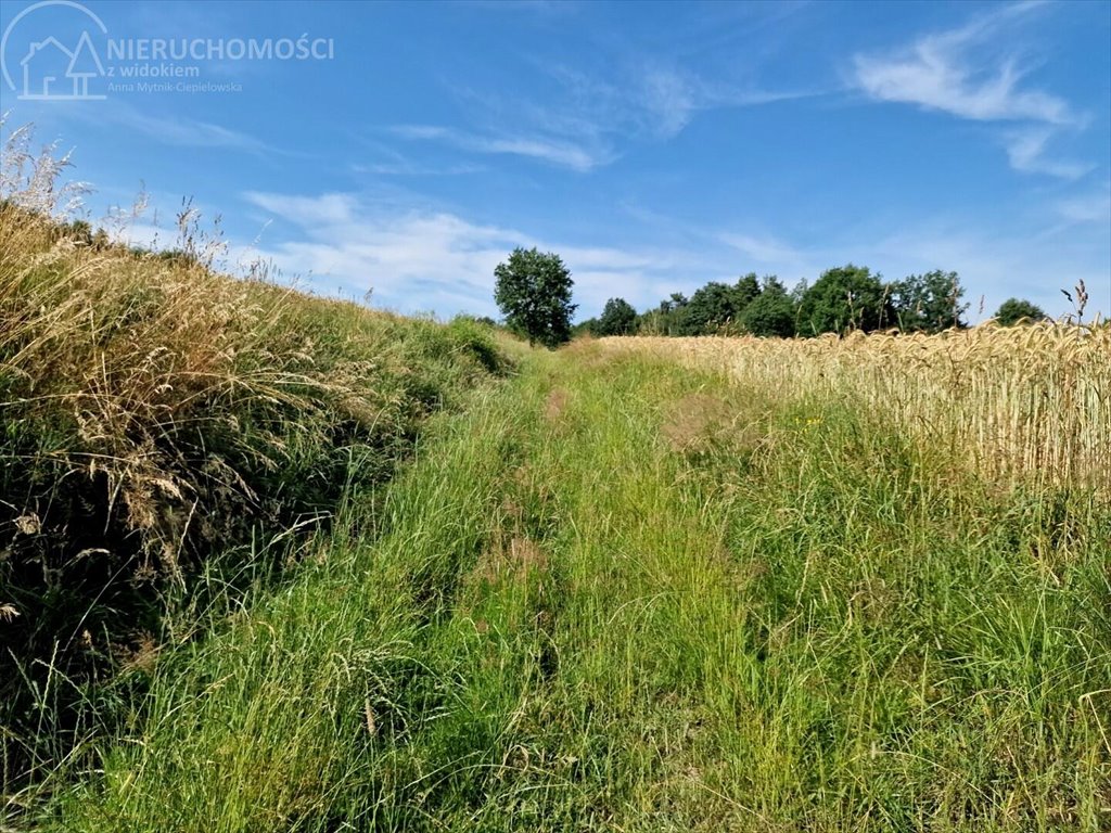 Działka leśna na sprzedaż Sitnica  8 867m2 Foto 13