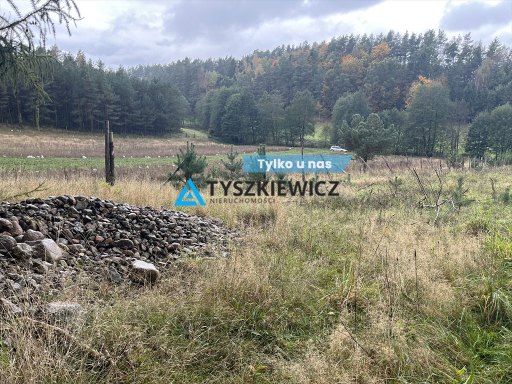 Działka siedliskowa na sprzedaż Borucino  30 005m2 Foto 1