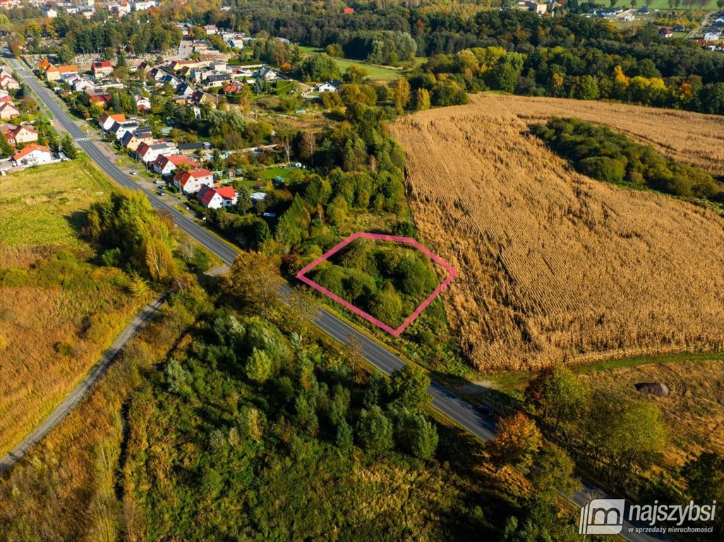 Działka rolna na sprzedaż Płoty  1 163m2 Foto 1