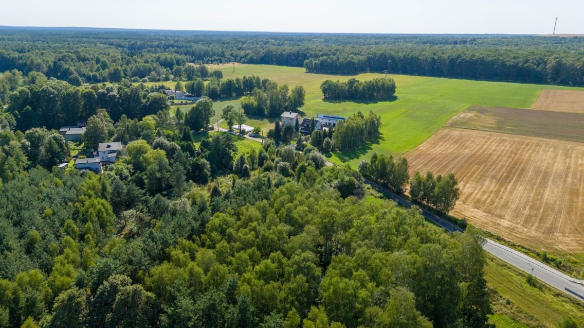 Działka budowlana na sprzedaż Woźniki, Sulów  1 319m2 Foto 12