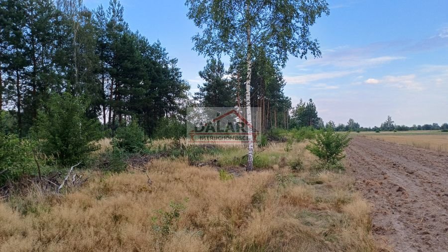 Działka budowlana na sprzedaż Grabów nad Pilicą, Małęczyn  1 400m2 Foto 5