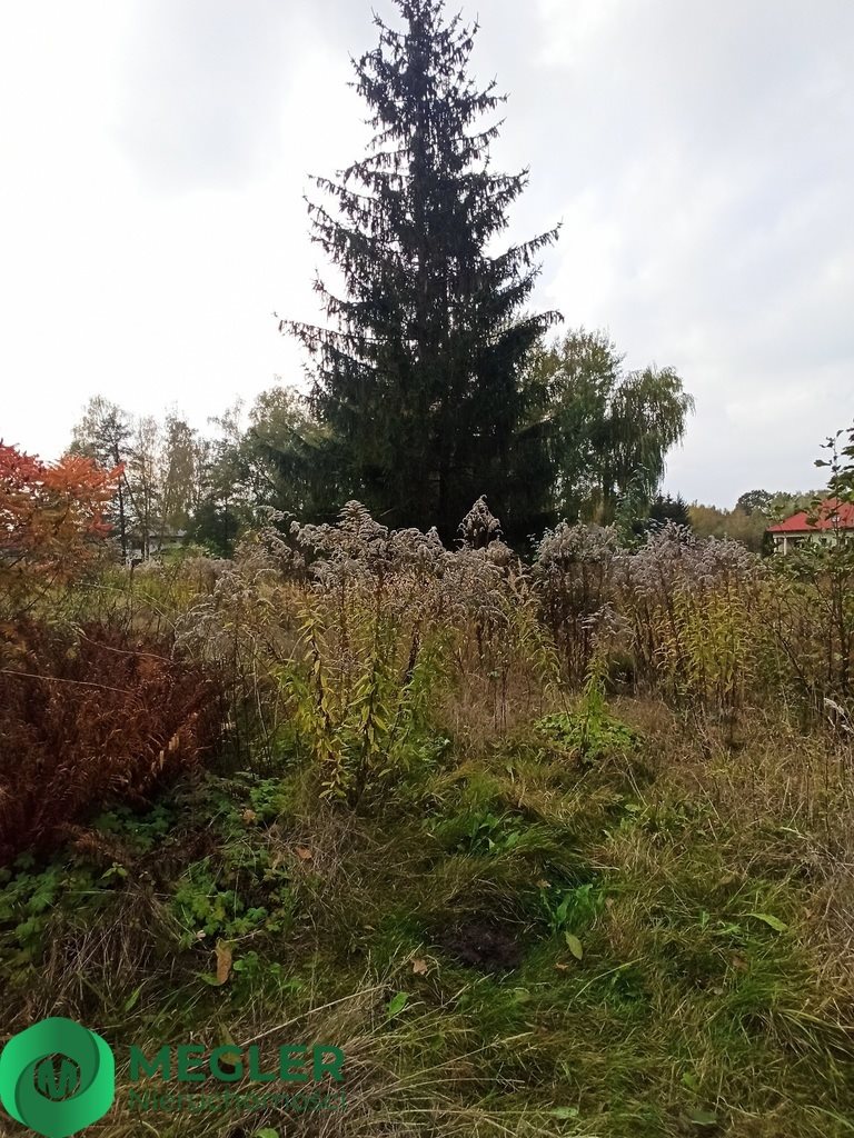 Działka budowlana na sprzedaż Radonie  2 978m2 Foto 6