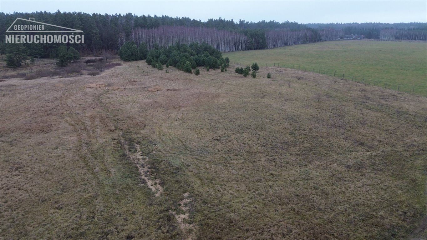 Działka budowlana na sprzedaż Liwa, Liwa  1 176m2 Foto 3