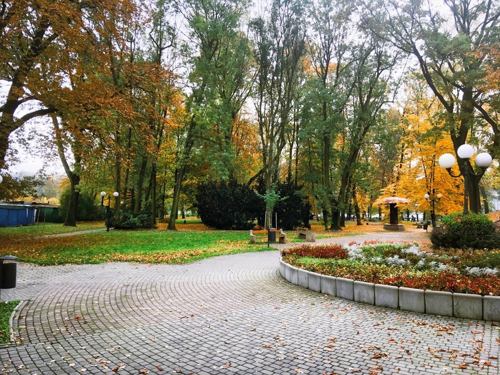 Mieszkanie trzypokojowe na sprzedaż Wodzisław Śląski  74m2 Foto 20