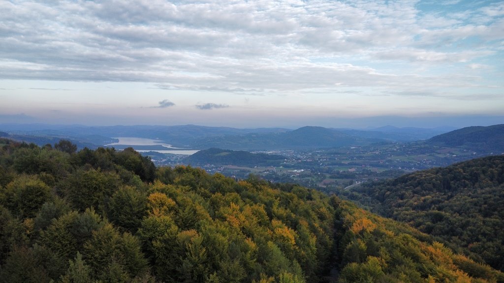 Działka inna na sprzedaż Skrzętla-Rojówka  5 700m2 Foto 1