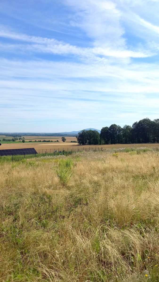 Działka 3533 m² z widokiem na Świdnicę, las, media Świdnica  3 566m2 Foto 1