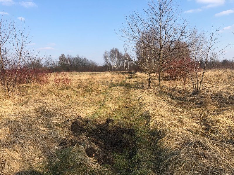 Działka 11 289 m² pod zabudowę w Wielkim Bórze Częstochowa, WIELKI BÓR  11 289m2 Foto 1