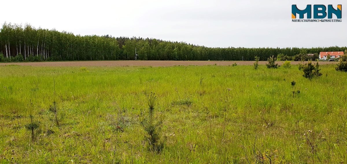 Działka budowlana na sprzedaż Rydzewo, Rydzewo  1 950m2 Foto 11