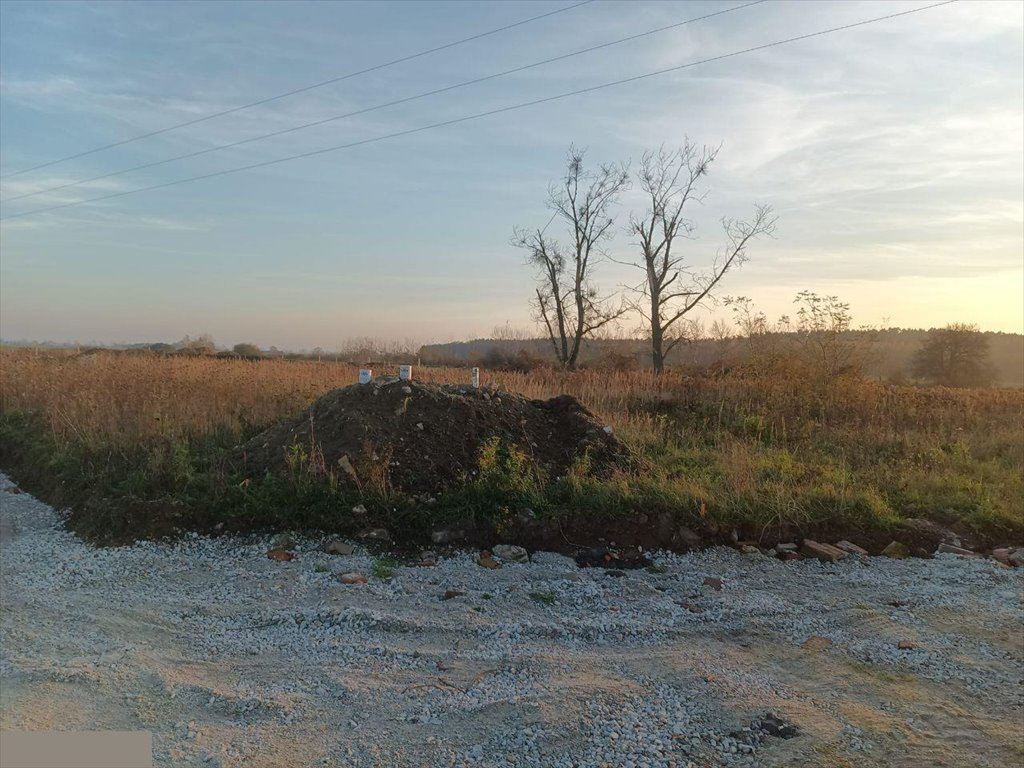 Działka budowlana na sprzedaż Siechnice  1 000m2 Foto 4