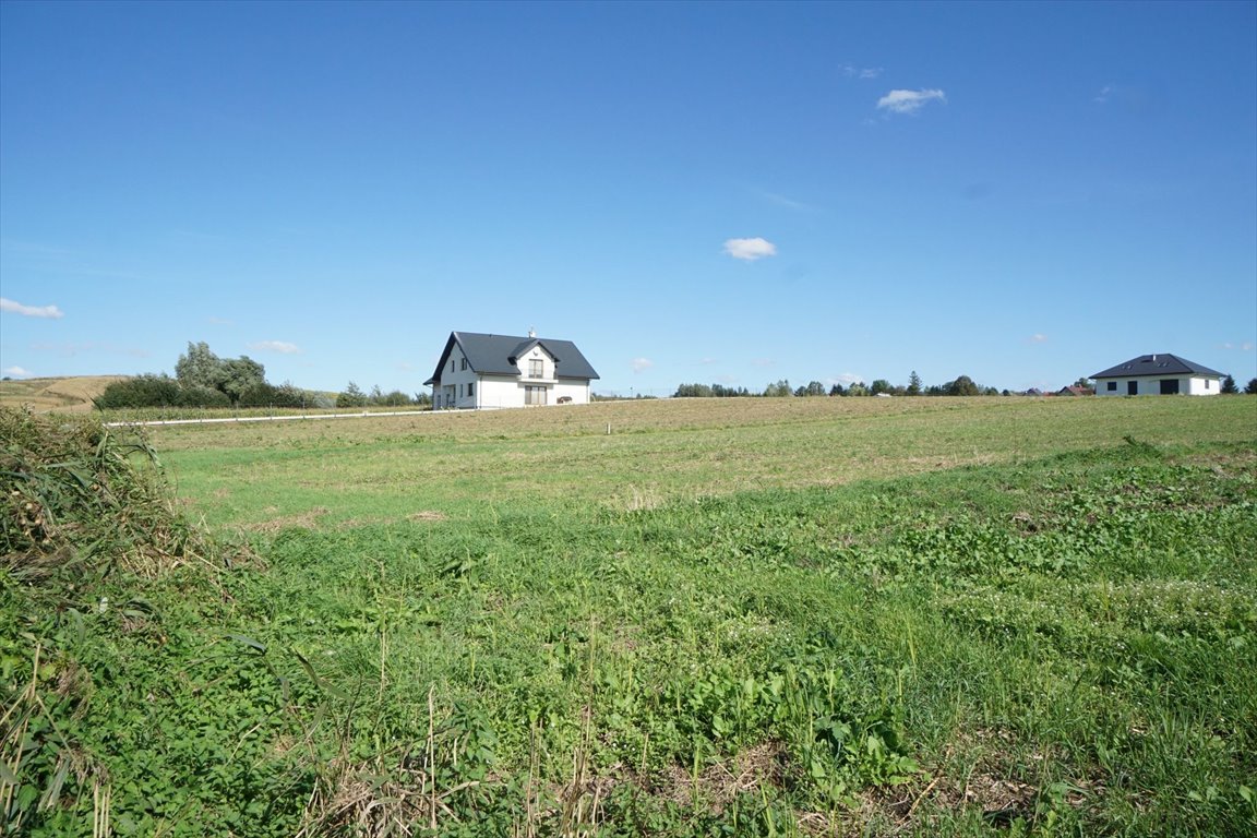 Działka 47 arów pod zabudowę zagrodową w Cieszacinie Wielkim Cieszacin Wielki, Cieszacin Wielki  4 700m2 Foto 1