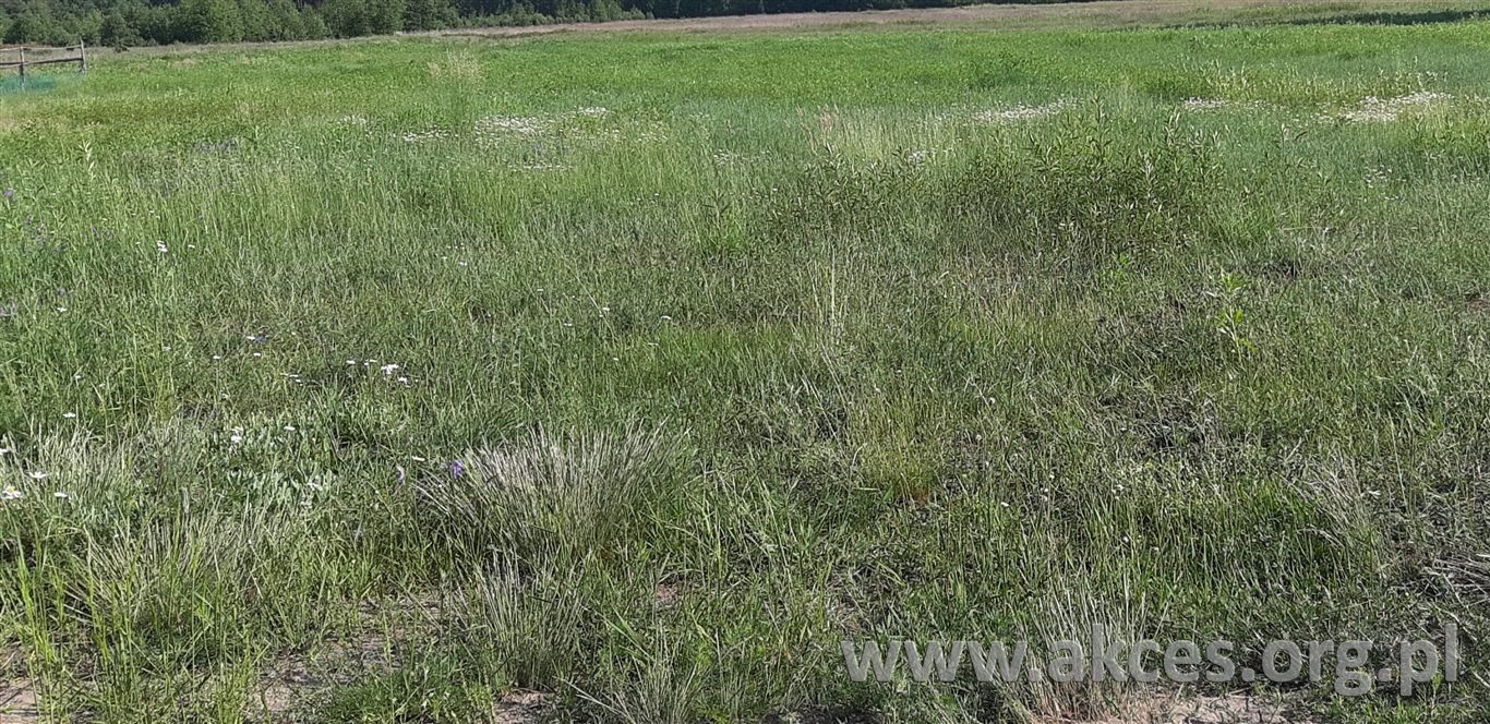Duża działka 2117 m² z możliwością zabudowy i działalności Nieporęt  2 117m2 Foto 1
