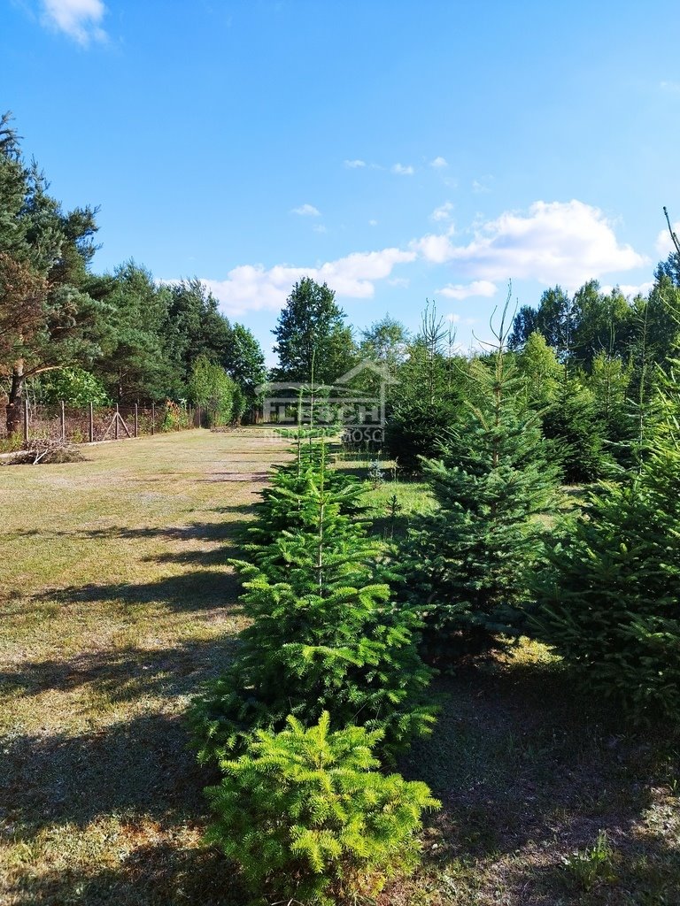 Działka budowlana na sprzedaż Łazy  6 466m2 Foto 1