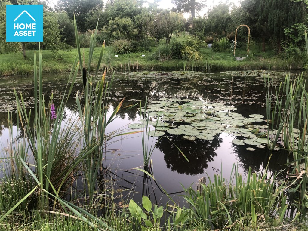 Działka budowlana na sprzedaż Milwino, Północna  60m2 Foto 1