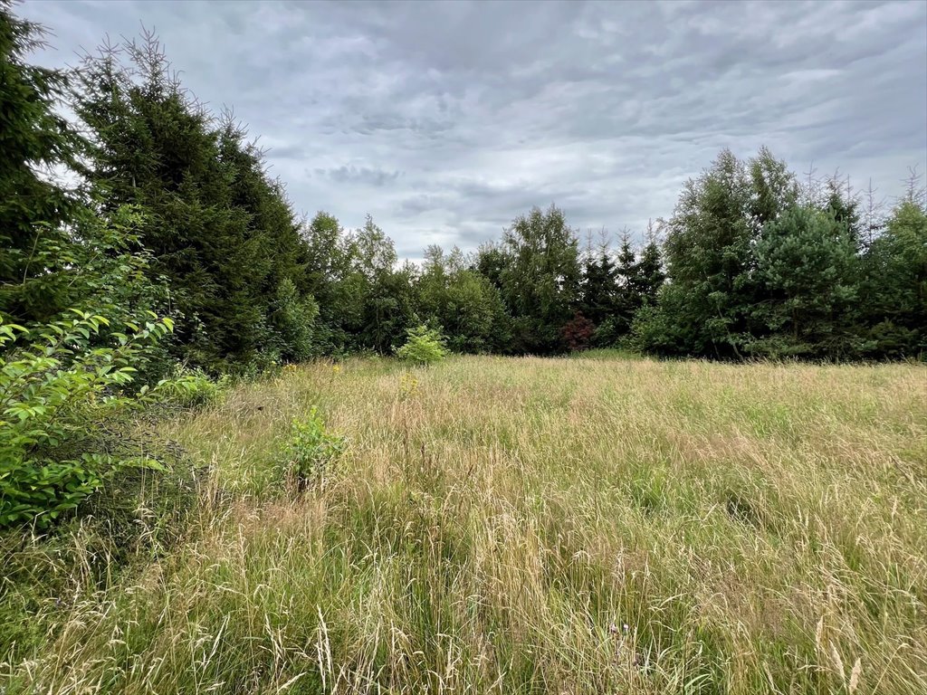 Działka rolna na sprzedaż Obroty, Obroty  7 300m2 Foto 1