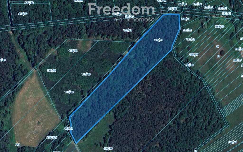 Działka leśna na sprzedaż Pilchowice  27 300m2 Foto 1