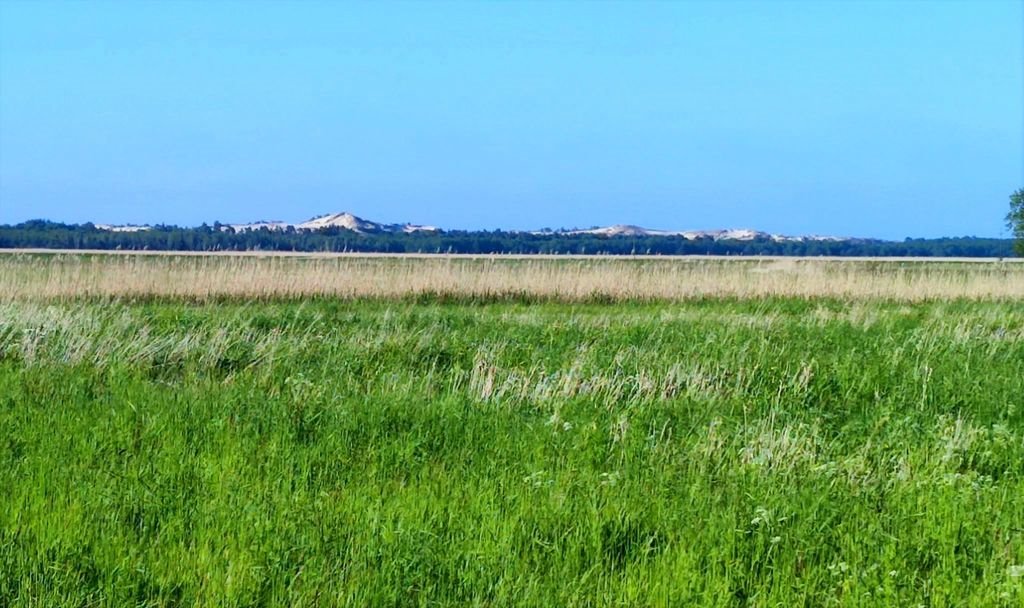 Działka inna na sprzedaż Smołdziński Las  1 668m2 Foto 5