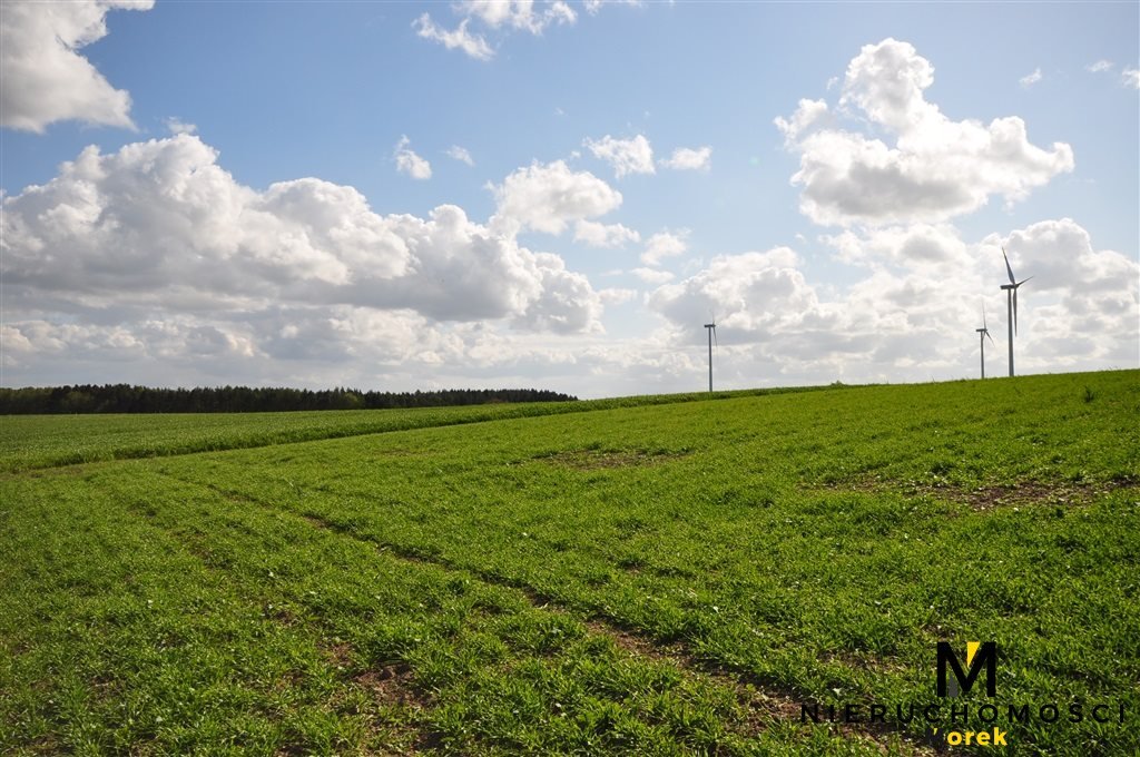 Działka budowlana na sprzedaż Bardy  60 400m2 Foto 19