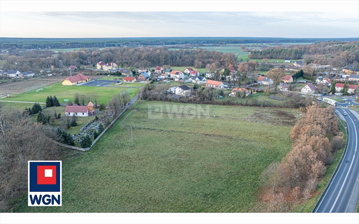 Działka budowlana na sprzedaż Dąbrowa Bolesławiecka, Dąbrowa Bolesławiecka  2 231m2 Foto 6