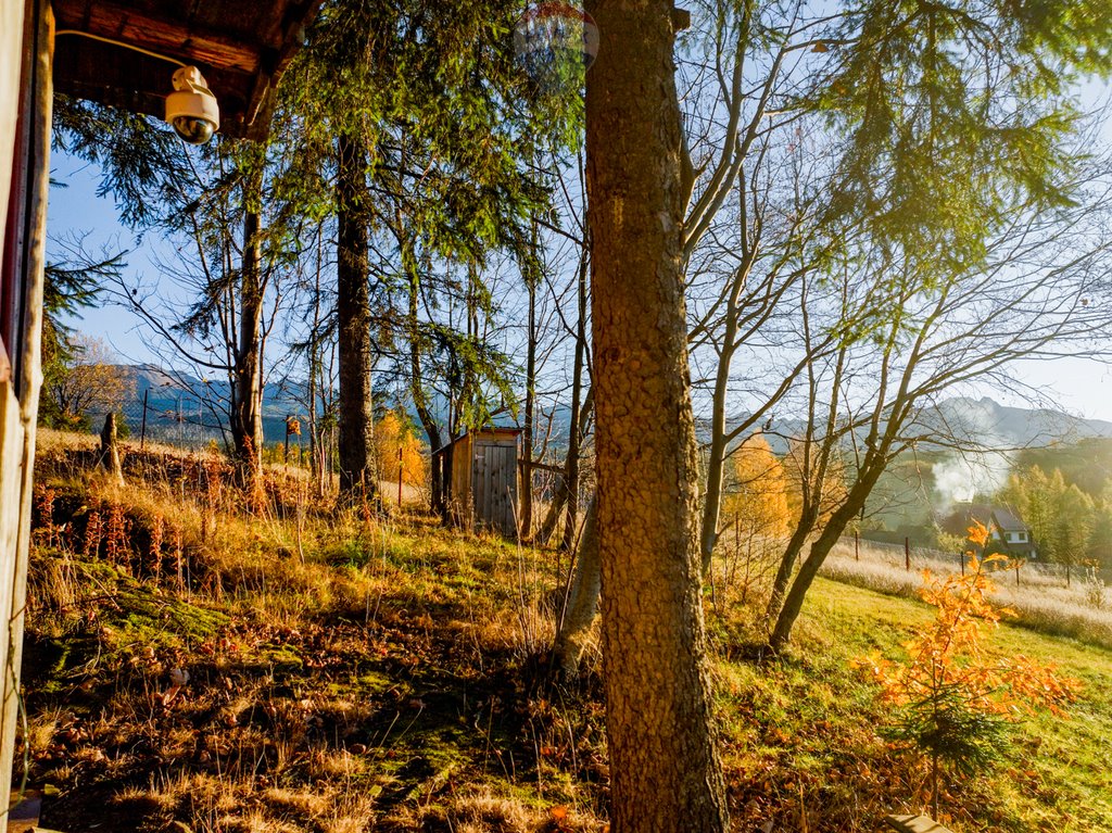 Działka rolna na sprzedaż Zakopane  2 036m2 Foto 11