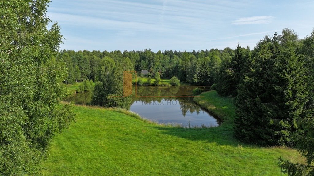 Działka siedliskowa na sprzedaż Grabowska Huta  16 780m2 Foto 4