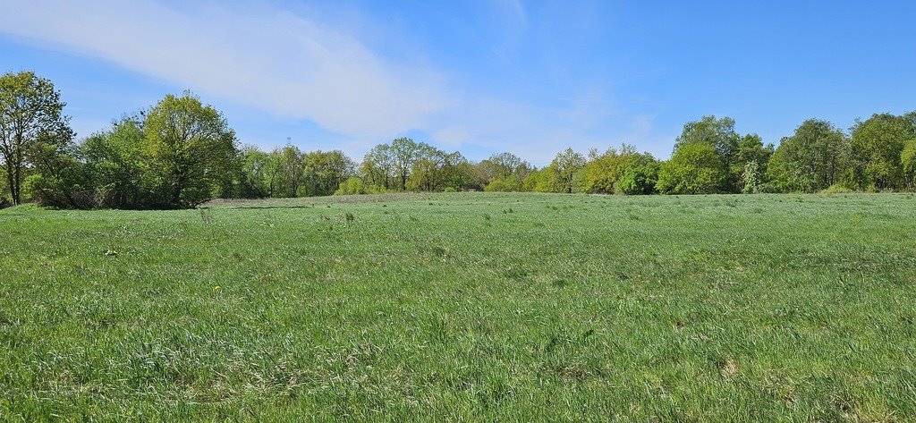 Działka 1500 m² z panoramicznym widokiem na Zalew Szczeciński Szczecin, Skolwin  1 500m2 Foto 1