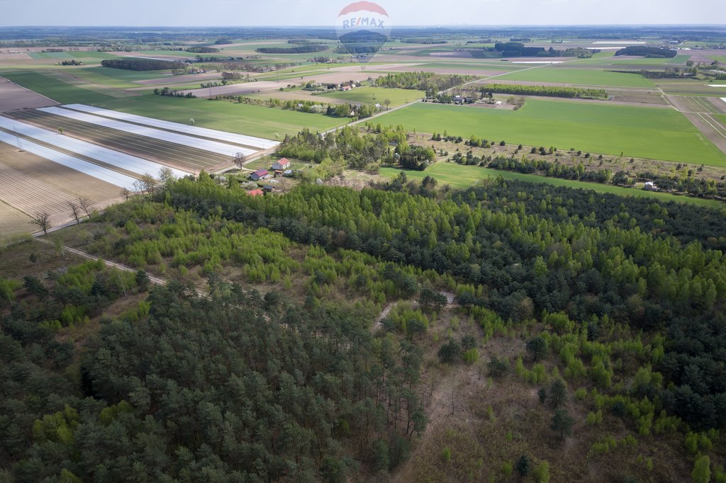 Działka budowlana na sprzedaż Ludwikowo  75 400m2 Foto 5