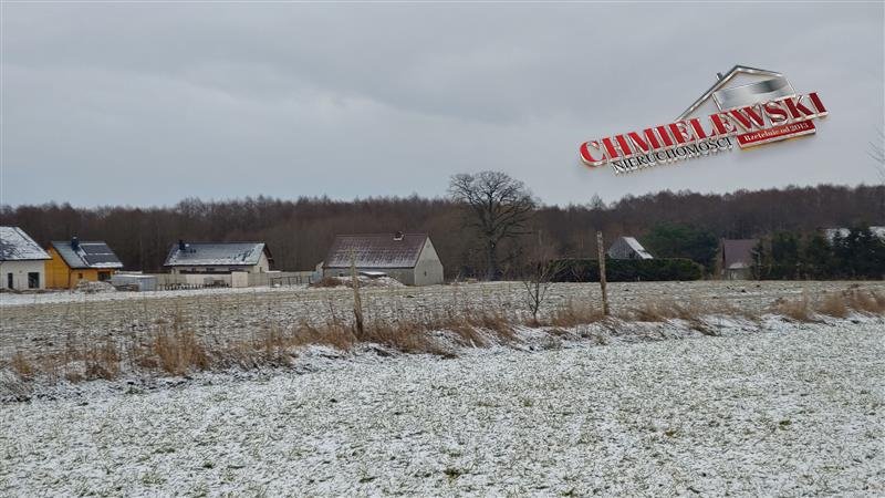 Działka siedliskowa na sprzedaż Warszkowo, Kolonia, Kolonia, Kolonia  6 000m2 Foto 3