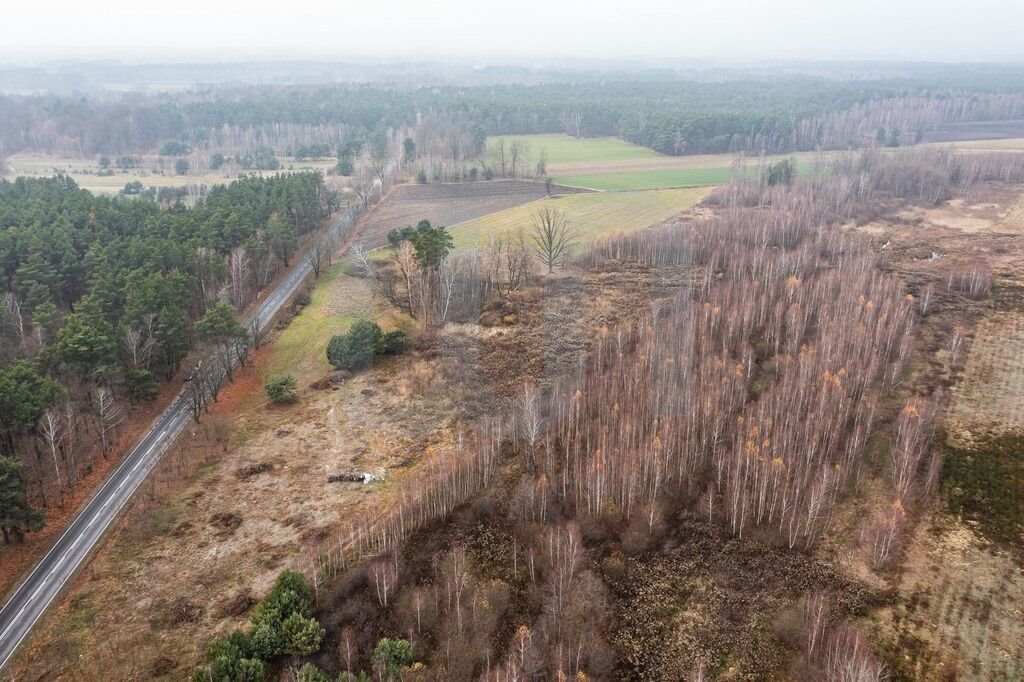 Działka komercyjna na sprzedaż Ręczaje Polskie  23 700m2 Foto 7