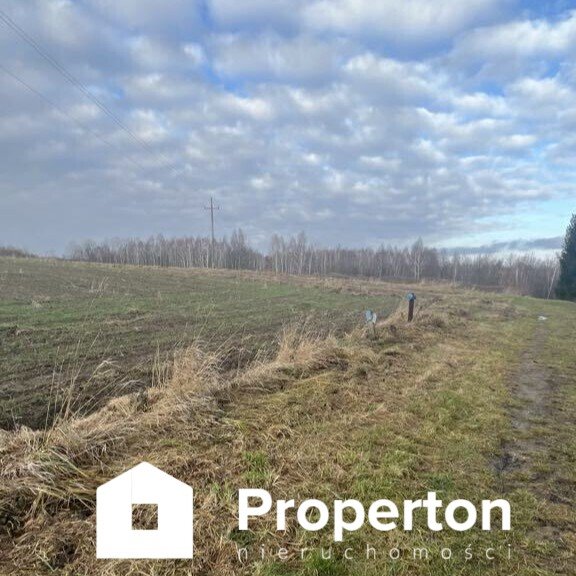 Działka rolna 1.15ha z widokami i mediami w Rzeczycy Rzeczyca  11 478m2 Foto 1