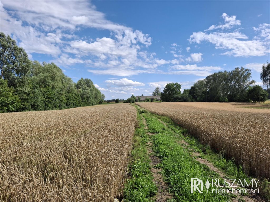 Działka rolna na sprzedaż Trępnowy  4 026m2 Foto 1