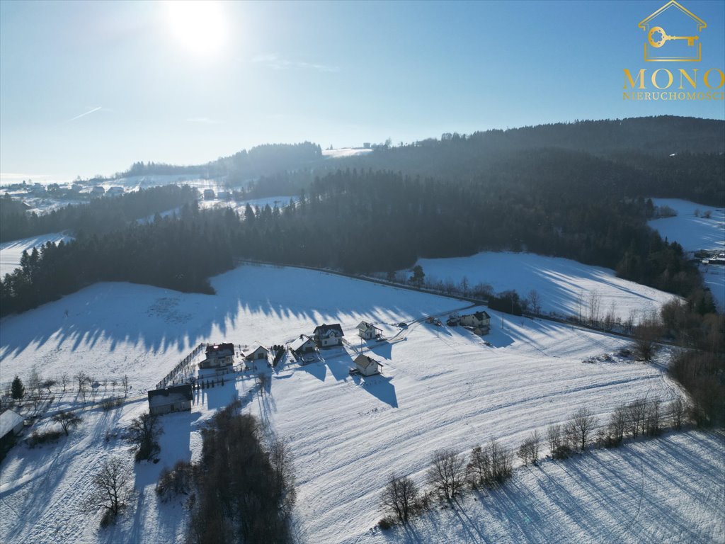 Działka budowlana na sprzedaż Krasne Potockie  4 200m2 Foto 11