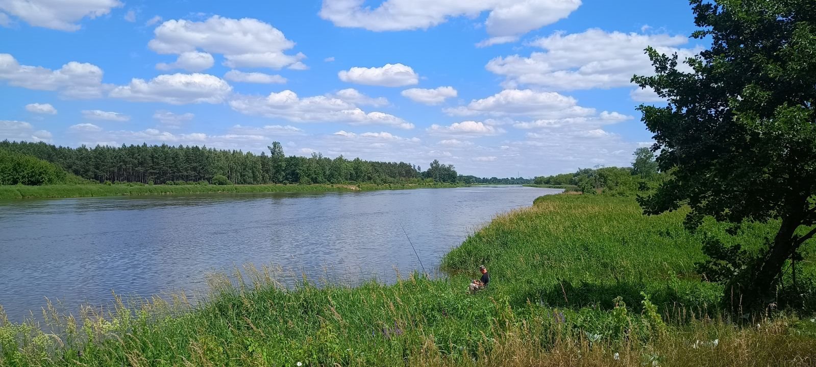 Działka budowlana na sprzedaż Długie Grodzieckie  4 000m2 Foto 2